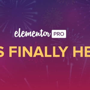 Elementor Pro